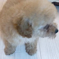 画像293