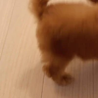 画像319