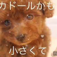画像350