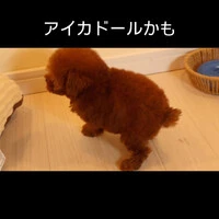 画像354