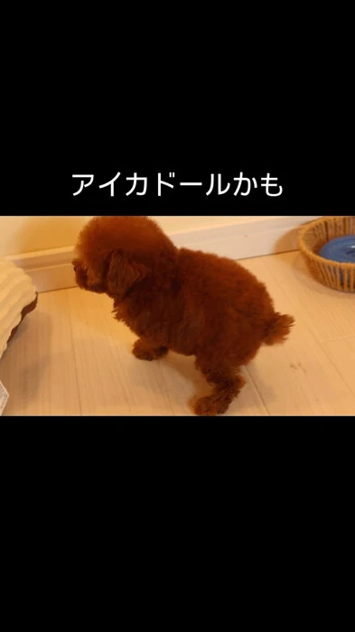 画像354
