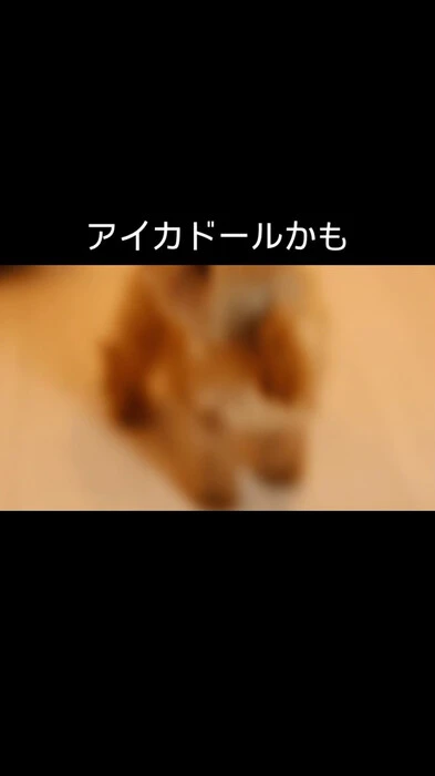 画像356