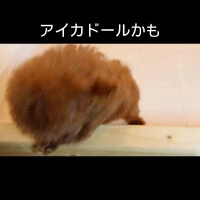 画像362