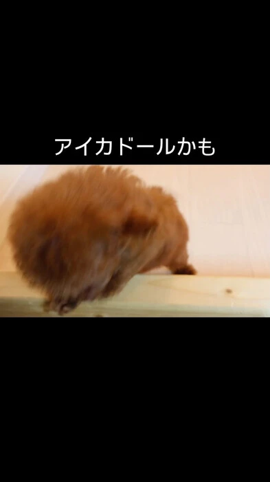 画像362