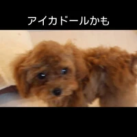 画像372