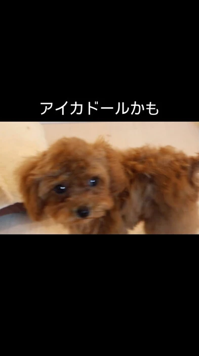 画像372