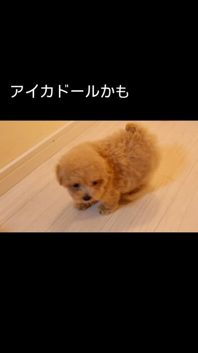 画像378