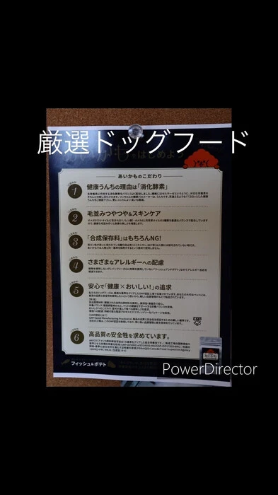 画像380
