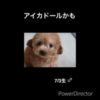 画像384