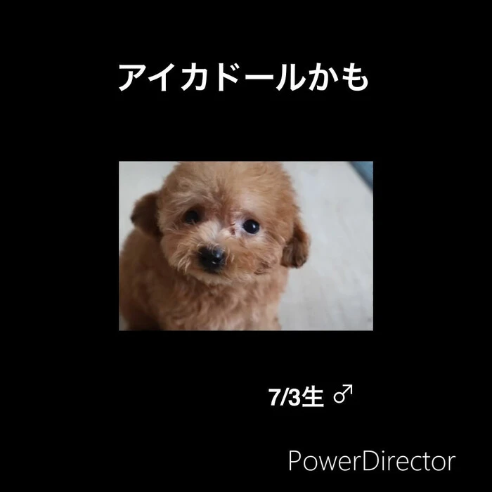 画像384
