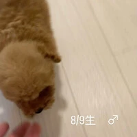 画像388