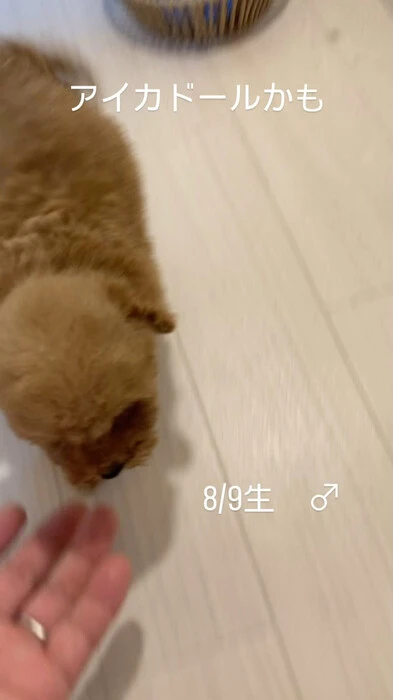 画像388