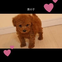 画像590