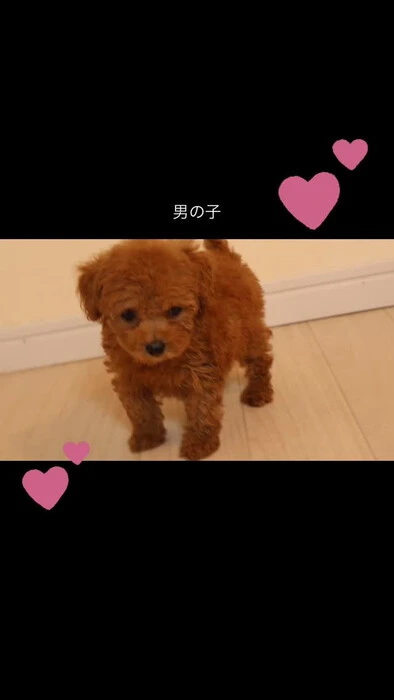 画像590