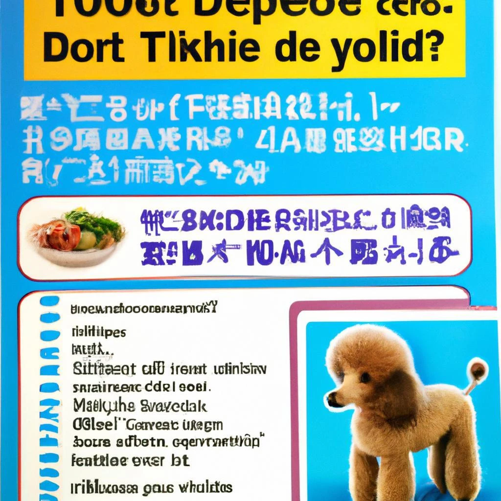 5. おすすめドッグフードメニュー