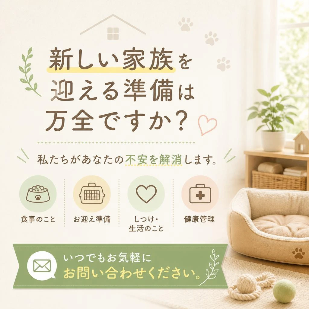 お気軽にご相談ください！
