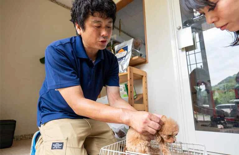 トイプードルの嚙み合わせ問題と解決法